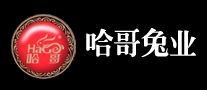哈哥怎么樣