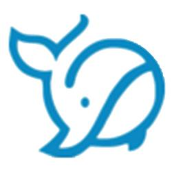 輕享付怎么樣