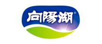 向陽湖怎么樣