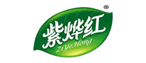紫燁紅怎么樣