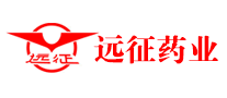遠(yuǎn)征怎么樣