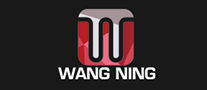 王寧健身怎么樣