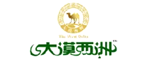 大漠西洲怎么樣