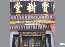 寶樹(shù)堂怎么樣