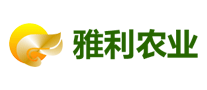 雅利怎么樣