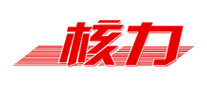 核力怎么樣