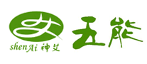 神艾-五能怎么樣