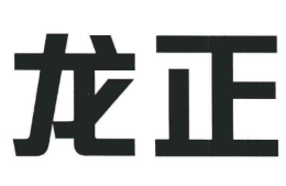 DPL龍正怎么樣