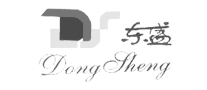 東盛DongSheng怎么樣