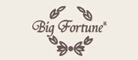 BigFortune怎么樣
