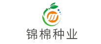 錦棉種業(yè)怎么樣