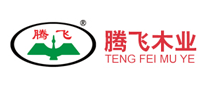 騰飛怎么樣