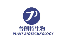普朗特怎么樣